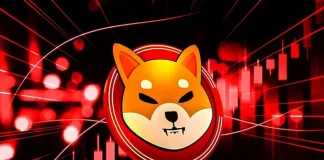 Shiba Inu Price Eyes a 45% Rebound as Burn Rate Spikes 10,700%