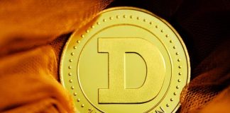 Dogecoin and XRP Enter ETF Mainstream with First US Spot Listings