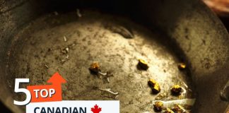 Top 5 Canadian Mining Stocks This Week: Guardian Exploration Gains 94 Percent